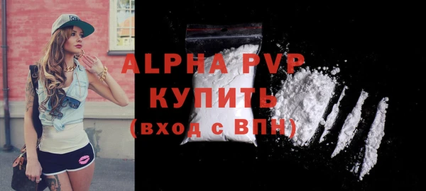 стаф Новодвинск