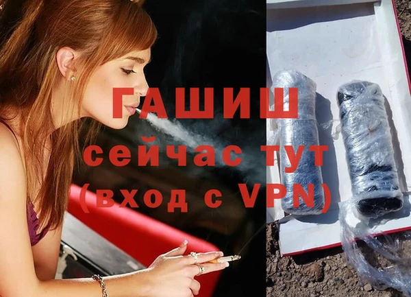 стаф Новодвинск