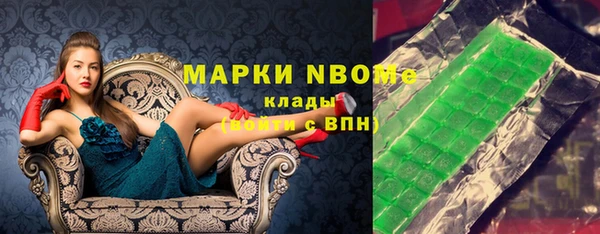 стаф Новодвинск