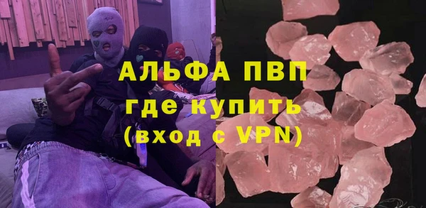 стаф Новодвинск