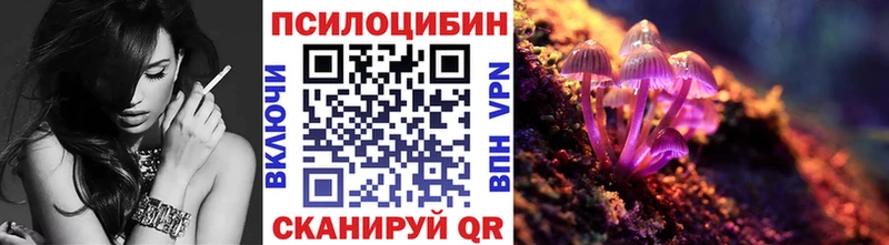 Псилоцибиновые грибы прущие грибы  Казань 