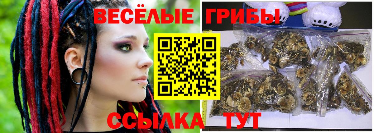 Галлюциногенные грибы MAGIC MUSHROOMS  где найти   Казань 