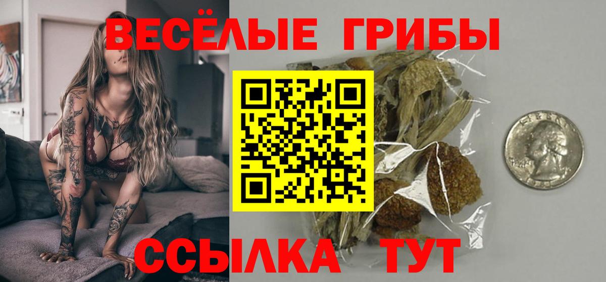 Псилоцибиновые грибы Cubensis  Вход с VPN  закладки  Казань 
